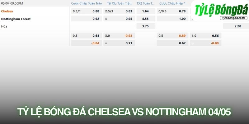 Soi kèo Chelsea vs Nottingham Forest với tỷ lệ kèo thực tế