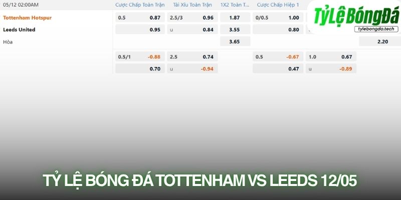 Tỷ lệ bóng đá Tottenham vs Leeds United 12/05