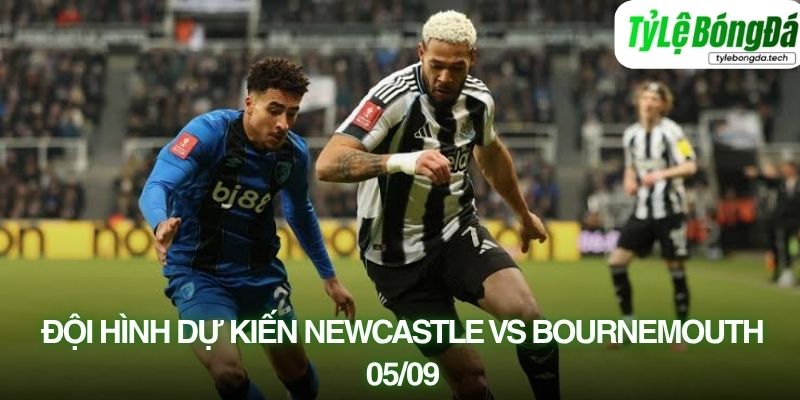 Tình hình lực lượng Newcastle vs Bournemouth 05/09