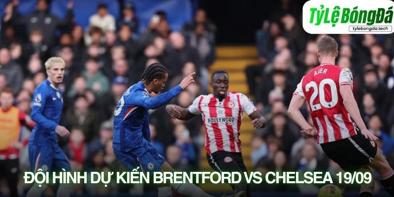 Tình hình lực lượng Brentford vs Chelsea