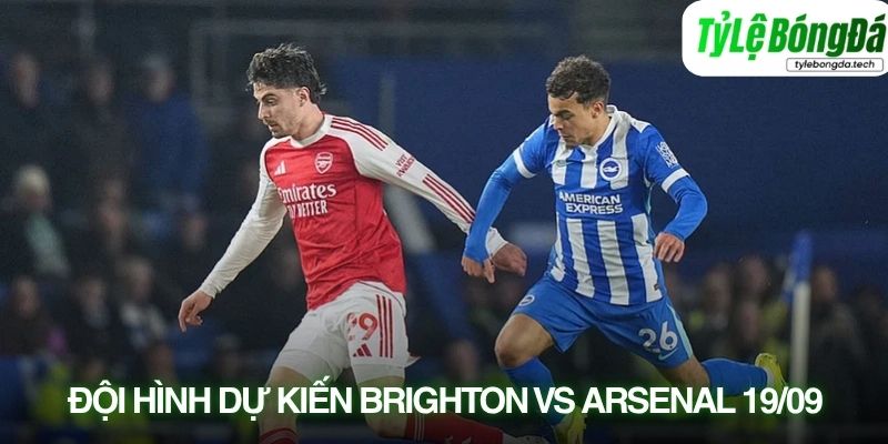 Tình hình lực lượng Brighton vs Arsenal