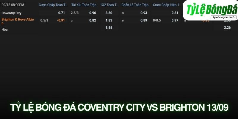 Soi kèo Coventry City vs Brighton với tỷ lệ kèo thực tế