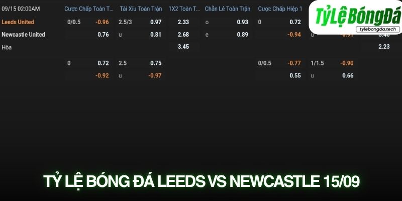 Soi kèo Leeds United vs Newcastle United với tỷ lệ kèo thực tế